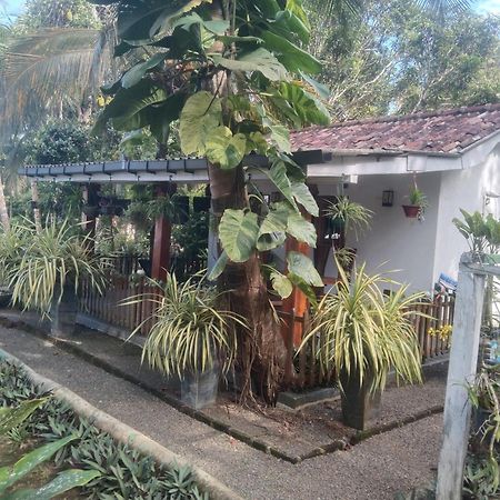 Lovers Green Villa Matara Exteriér fotografie