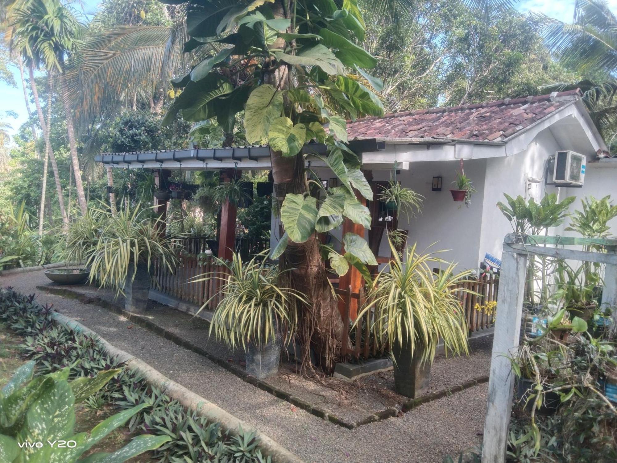 Lovers Green Villa Matara Exteriér fotografie